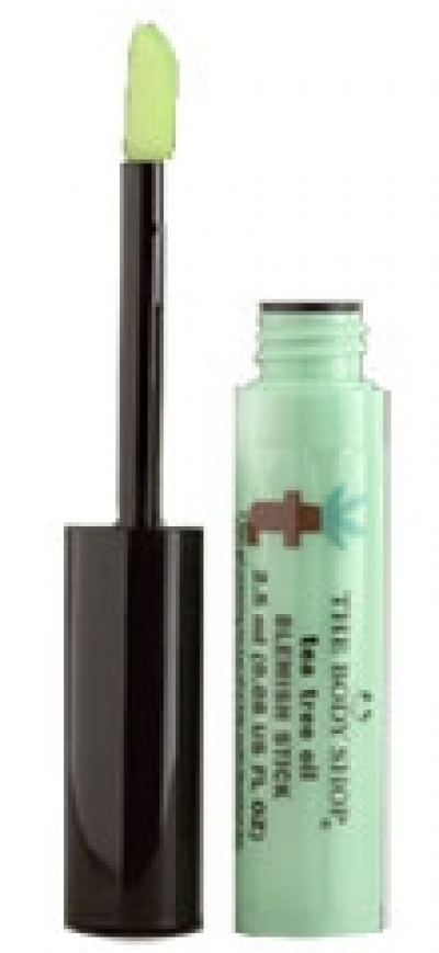 body shop tea tree oil blemish stick